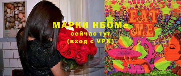 спиды Верея