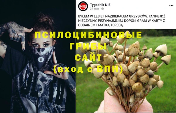 спиды Верея