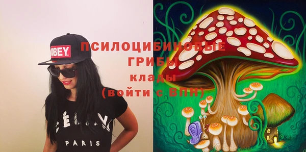 спиды Верея