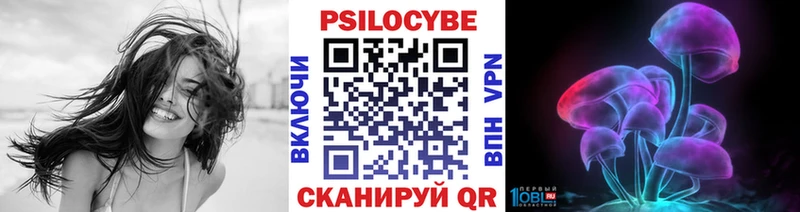 Галлюциногенные грибы Cubensis  купить закладку  Владимир 